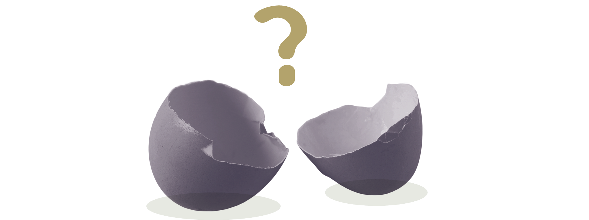 Eiwitadvies voor spiereiwitsynthese: een heroverweging waard?