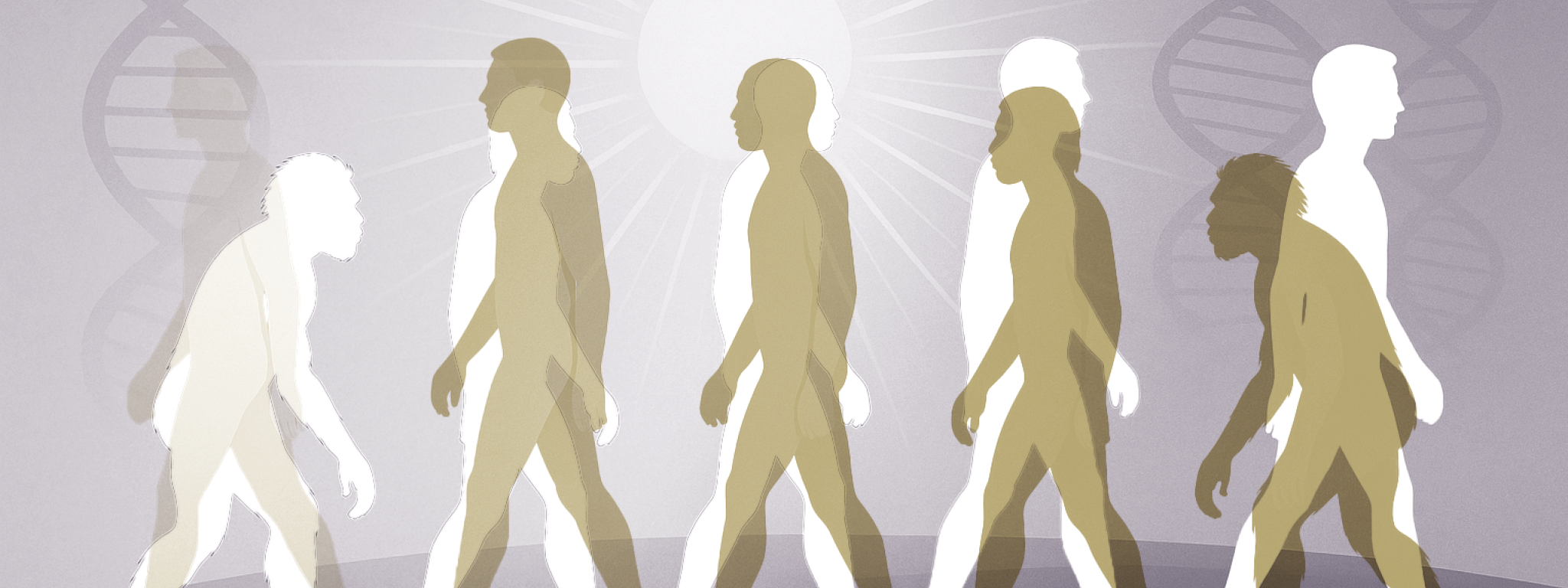 Waarom werd de huid van Europeanen en Aziaten licht van kleur?