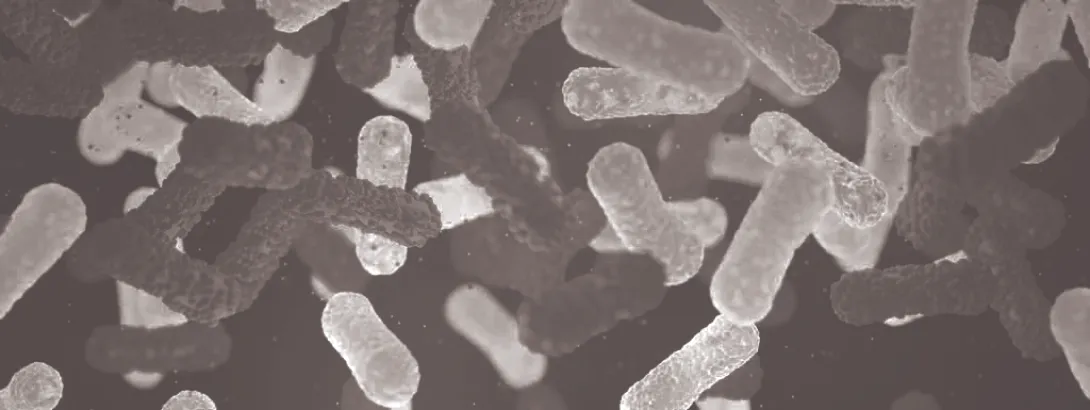 Grote verschillen in inname voedselmicroben