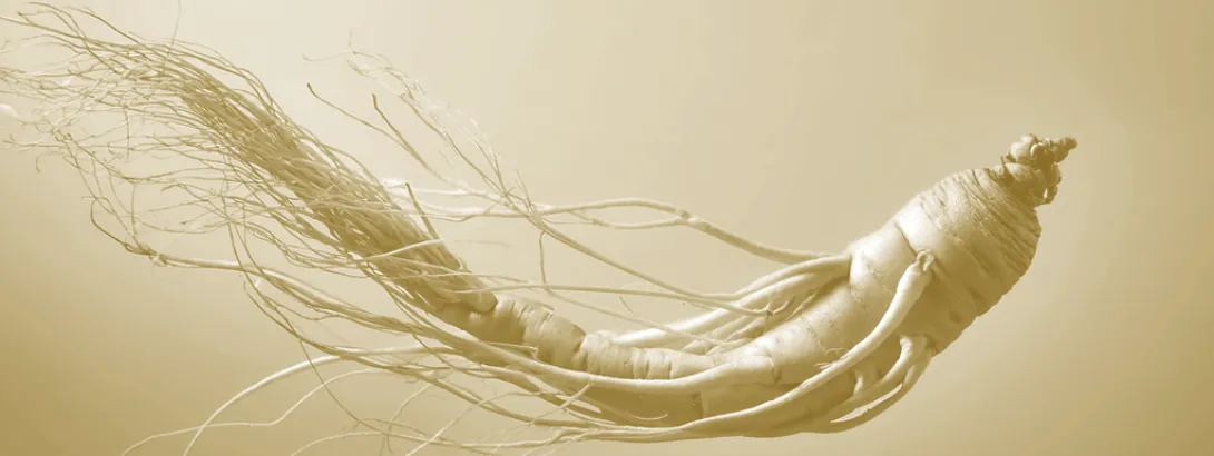 Ginseng