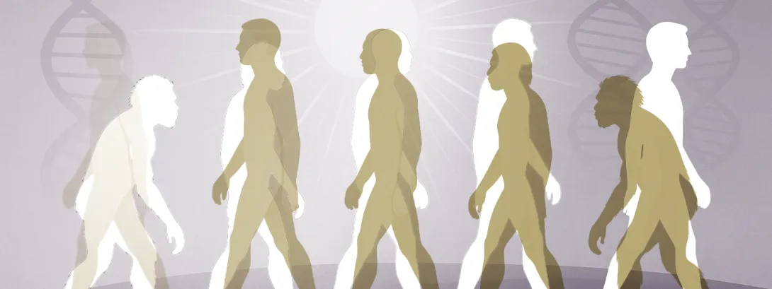 Waarom werd de huid van Europeanen en Aziaten licht van kleur?